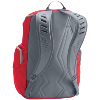 QUANTUM Back Pack